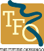 Файл:09 tfo logo.png