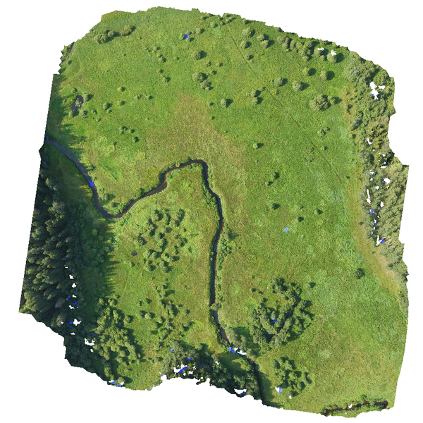 Файл:Opendronemap 43.png