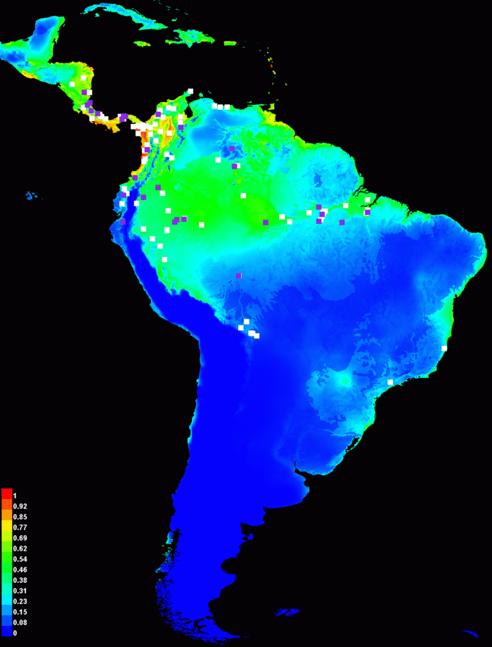 Maxent regularize.gif